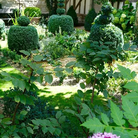 Bed and Breakfast Le Jardin De La Cathedrale 2*
